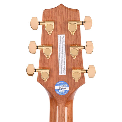 Takamine GD51 Dreadnought Brown Sunburst Acoustic Guitars / Dreadnought