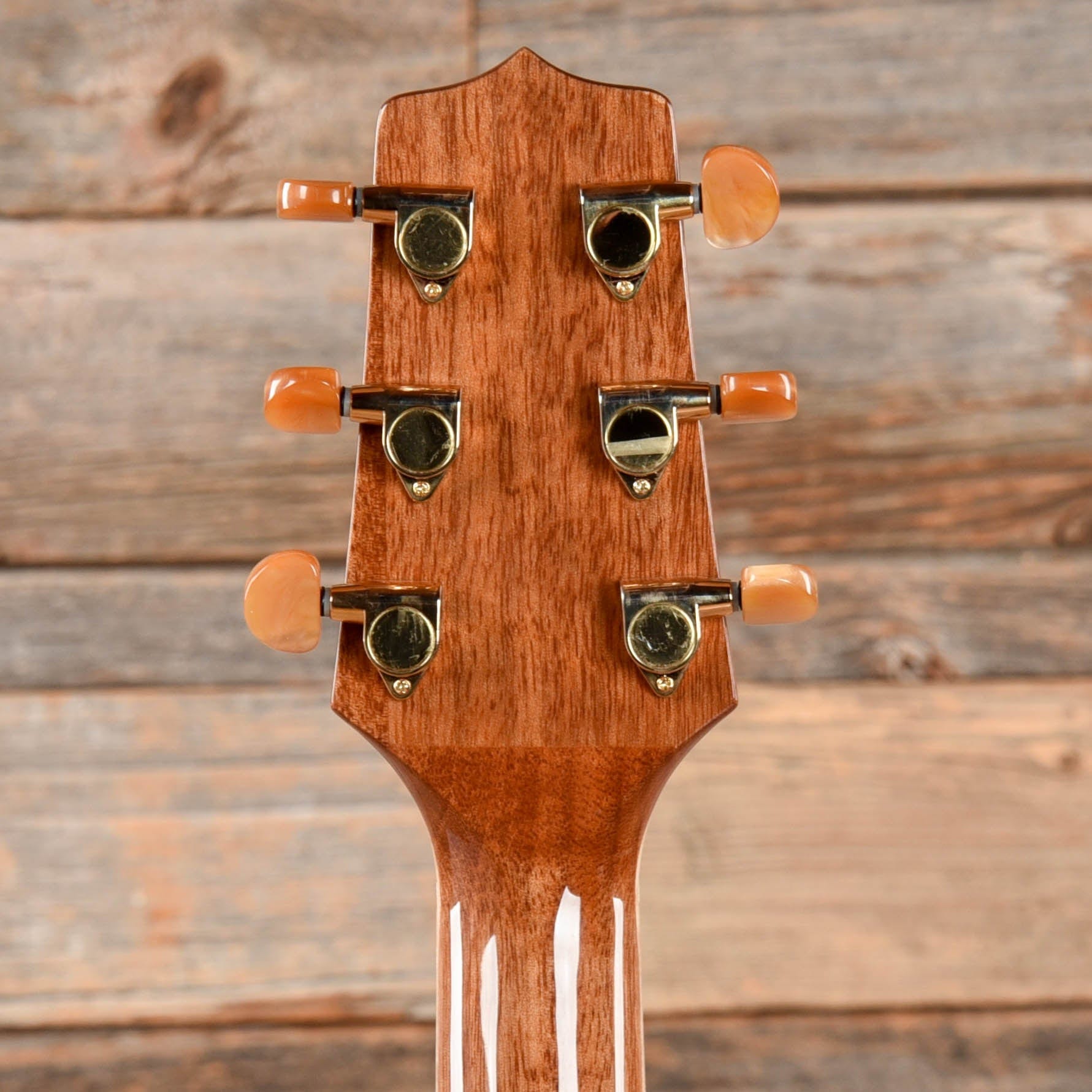 Takamine GN71 NEX Brown Sunburst Acoustic Guitars / Dreadnought