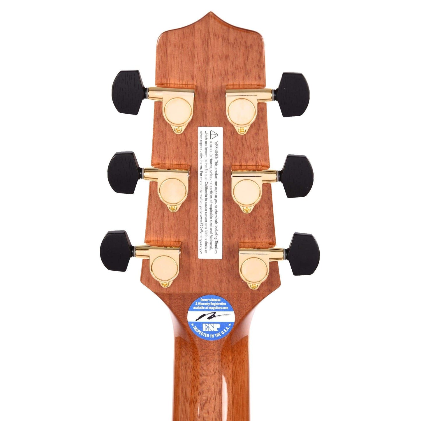 Takamine GY93 New Yorker Natural Acoustic Guitars / Parlor