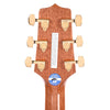 Takamine GD51CE Dreadnought Acoustic-Electric Natural Bass Guitars / Acoustic Bass Guitars