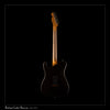 Tausch Guitars 665 RAW DeLuxe Lemon-Chocolate Burst w/Chambered Pearwood Body