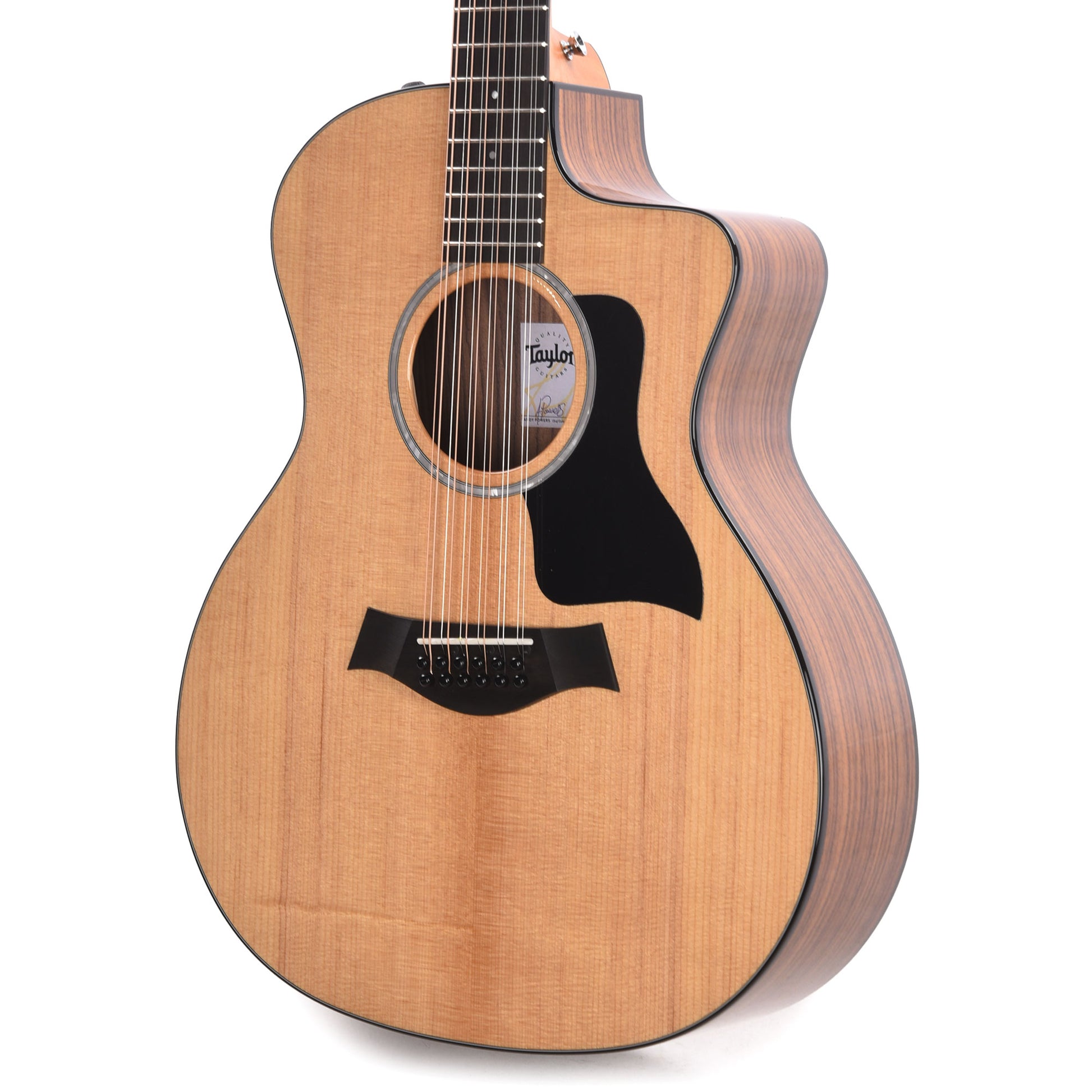 Taylor 254ce Plus 12-String Grand Auditorium Torrefied Sitka/Rosewood ES2 Acoustic Guitars / 12-String