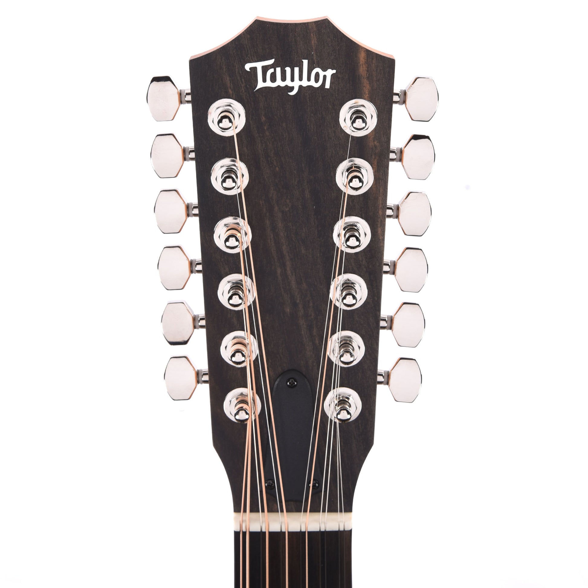 Taylor 254ce Plus 12-String Grand Auditorium Torrefied Sitka/Rosewood ES2 Acoustic Guitars / 12-String