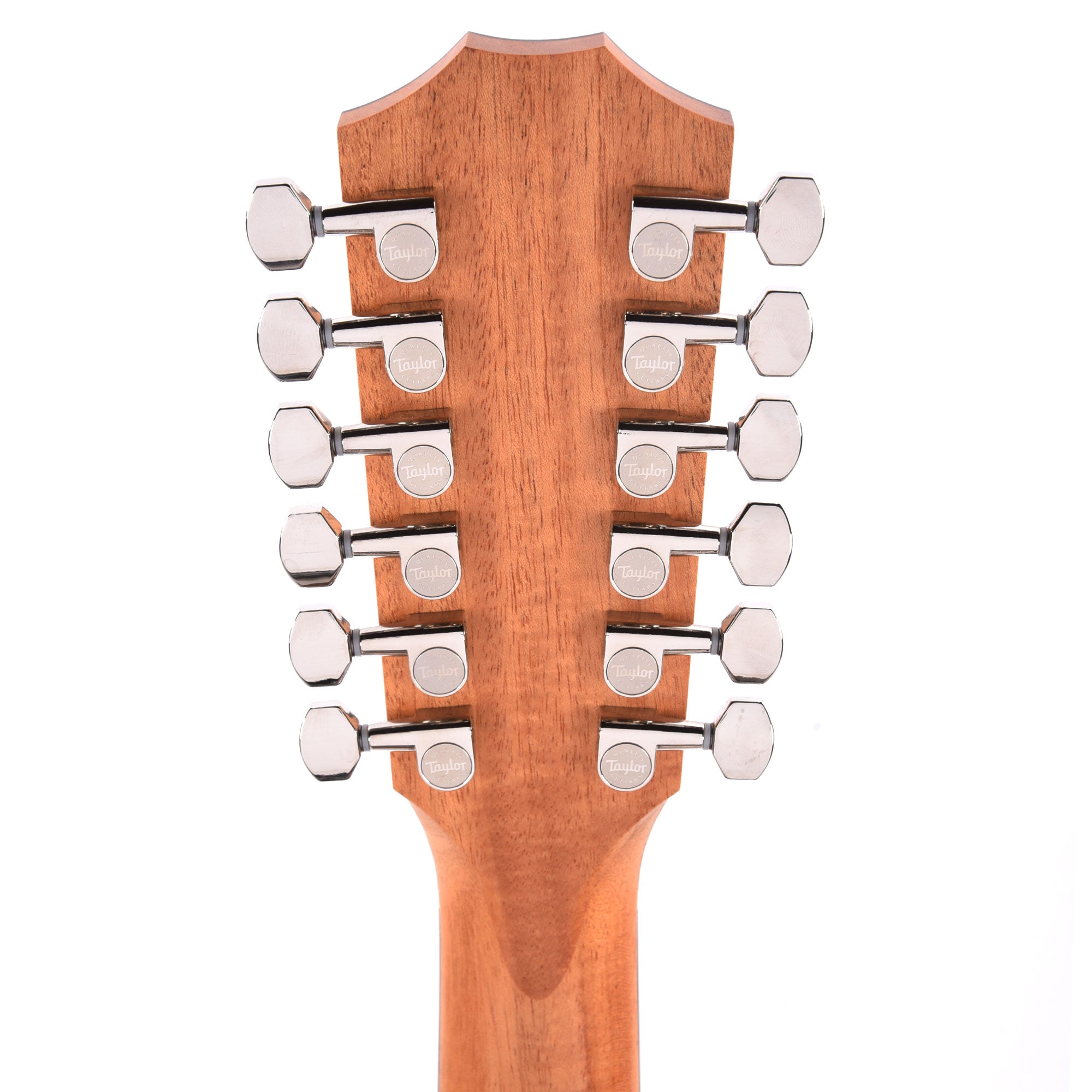 Taylor 254ce Plus 12-String Grand Auditorium Torrefied Sitka/Rosewood ES2 Acoustic Guitars / 12-String