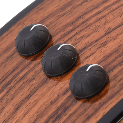 Taylor 254ce Plus 12-String Grand Auditorium Torrefied Sitka/Rosewood ES2 Acoustic Guitars / 12-String