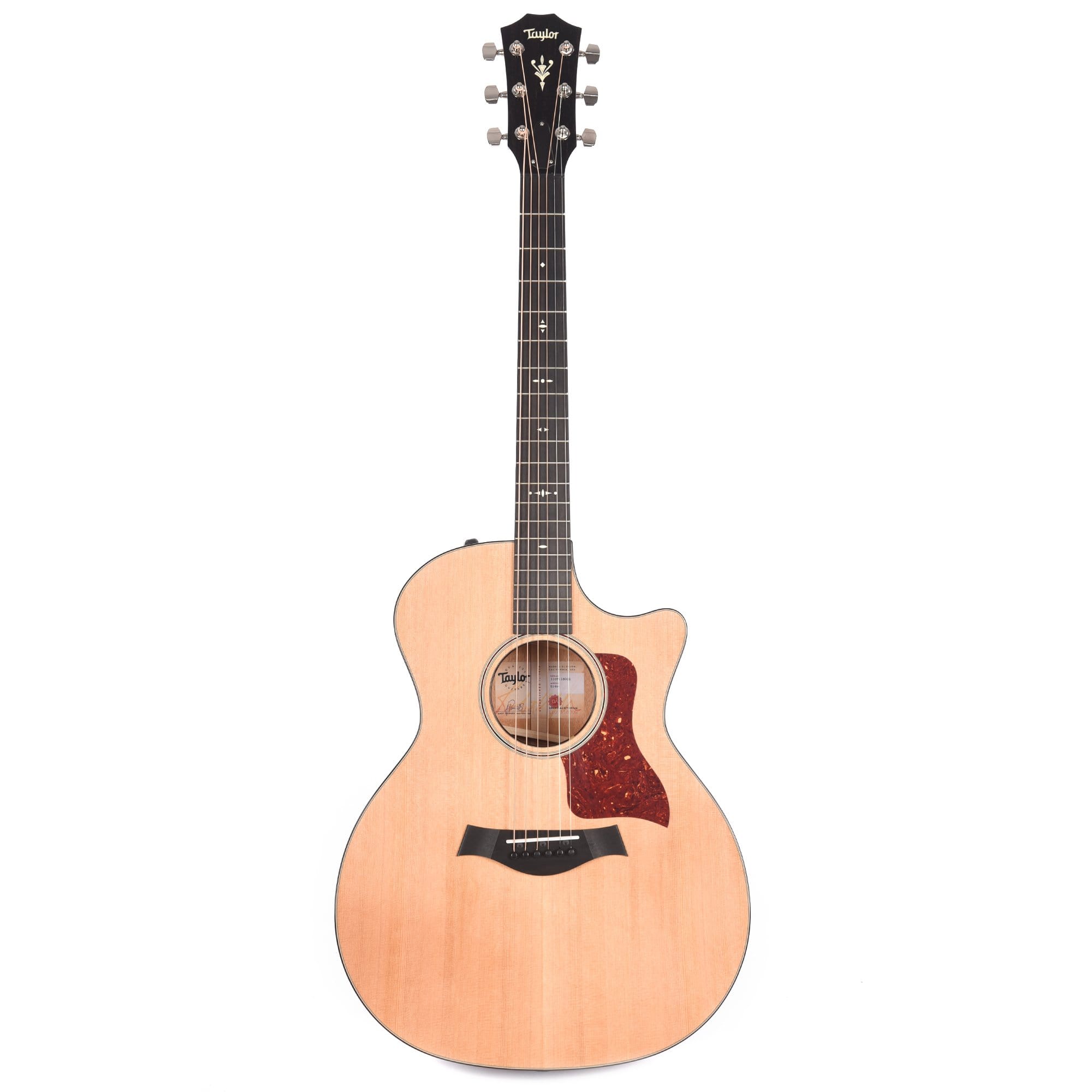 Taylor 514ce Grand Auditorium Western Red Cedar/Tropical Mahogany ES2 w/V-Class Bracing Acoustic Guitars / Built-in Electronics