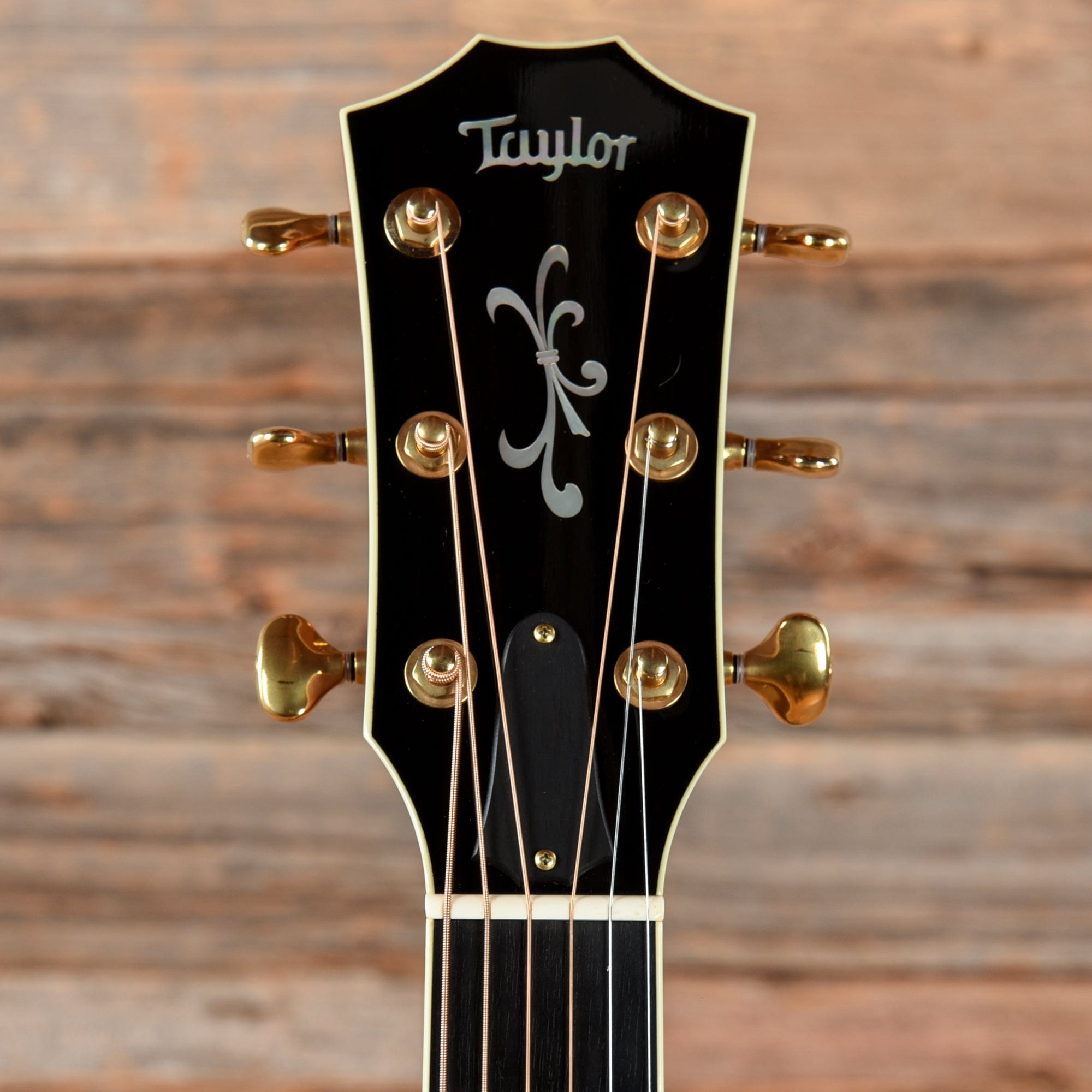 Taylor 916ce Natural 2010 Acoustic Guitars / Built-in Electronics