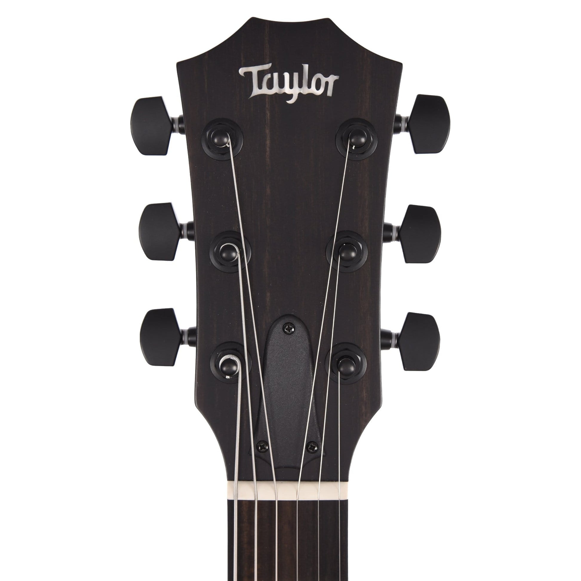 Taylor T5z Classic Rosewood Shaded Edgeburst Acoustic Guitars / Built-in Electronics