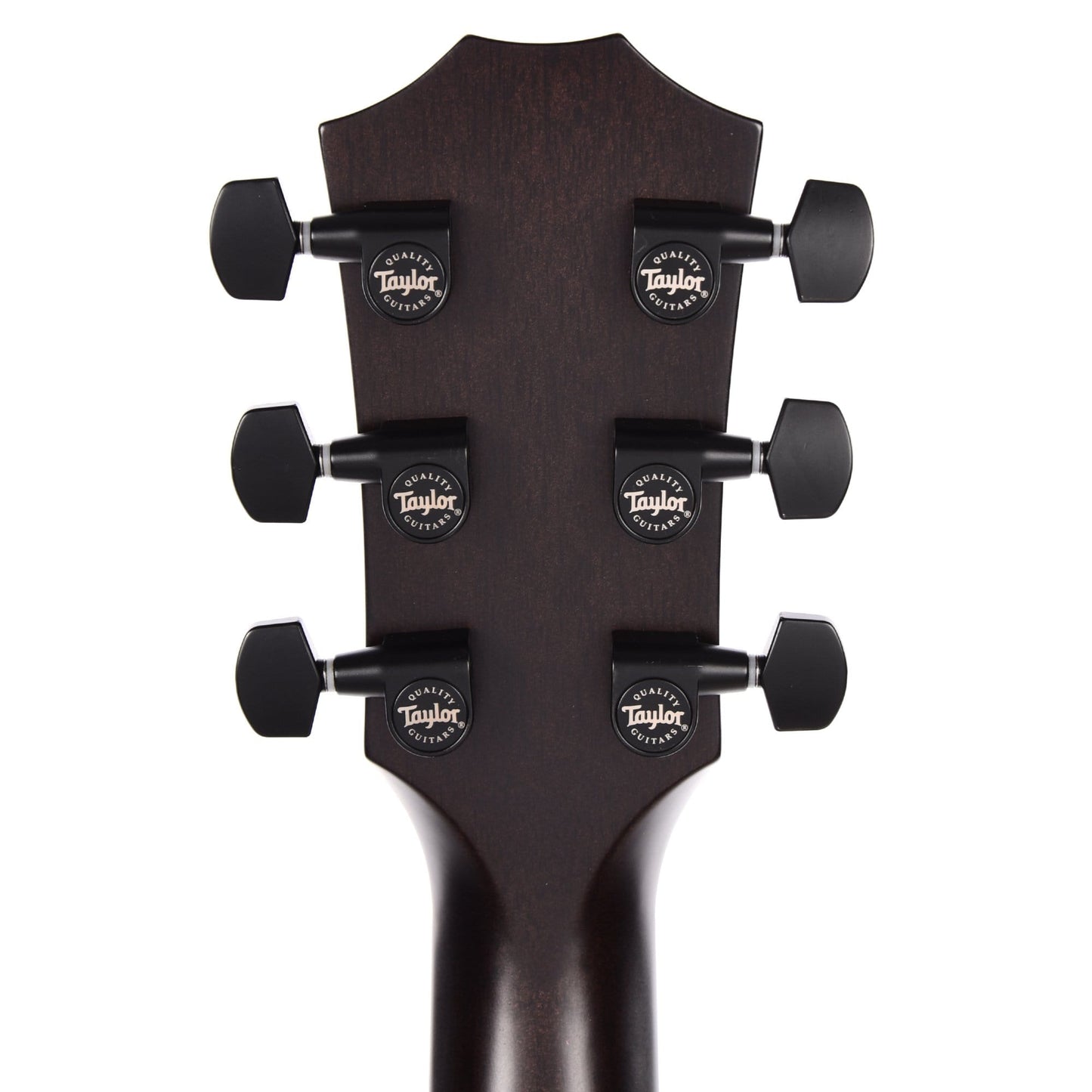 Taylor T5z Classic Rosewood Shaded Edgeburst Acoustic Guitars / Built-in Electronics