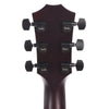 Taylor T5z Classic Sassafras Top Shaded Edgeburst Acoustic Guitars / Built-in Electronics
