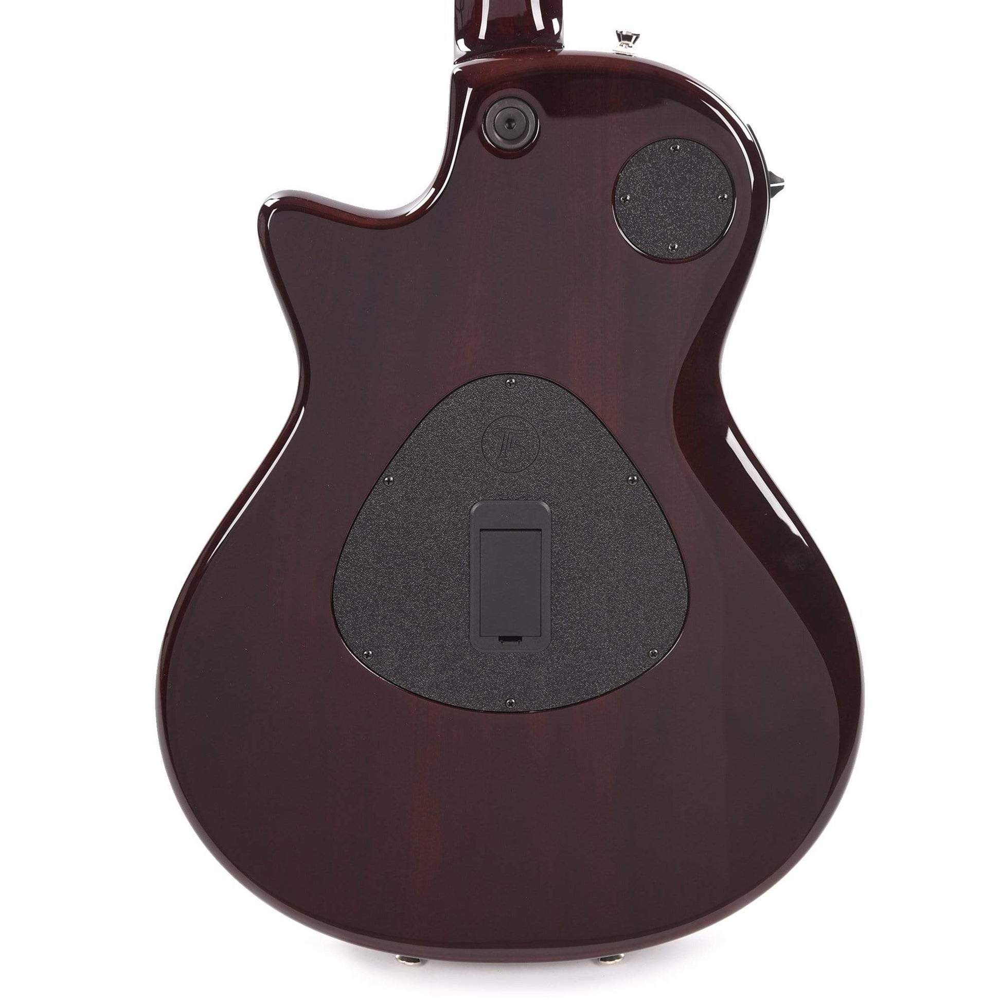 Taylor T5z Standard Tobacco Sunburst Acoustic Guitars / Built-in Electronics