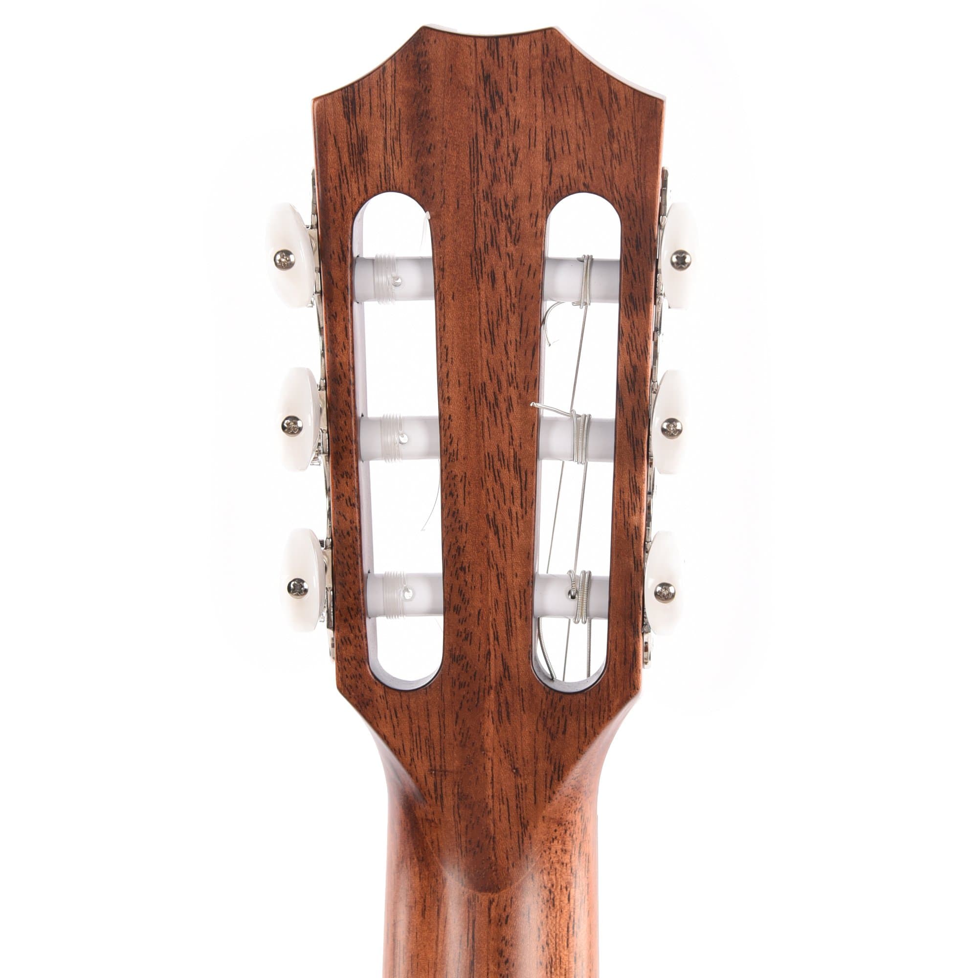 Taylor 314ce-N Classical Grand Auditorium Sitka/Sapele Natural ES2 Acoustic Guitars / Classical