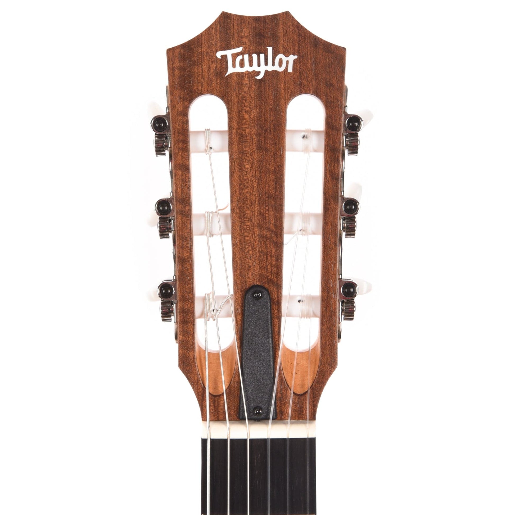 Taylor Academy 12e-N Grand Concert Lutz Spruce/Sapele Natural w/ES-B Acoustic Guitars / Classical