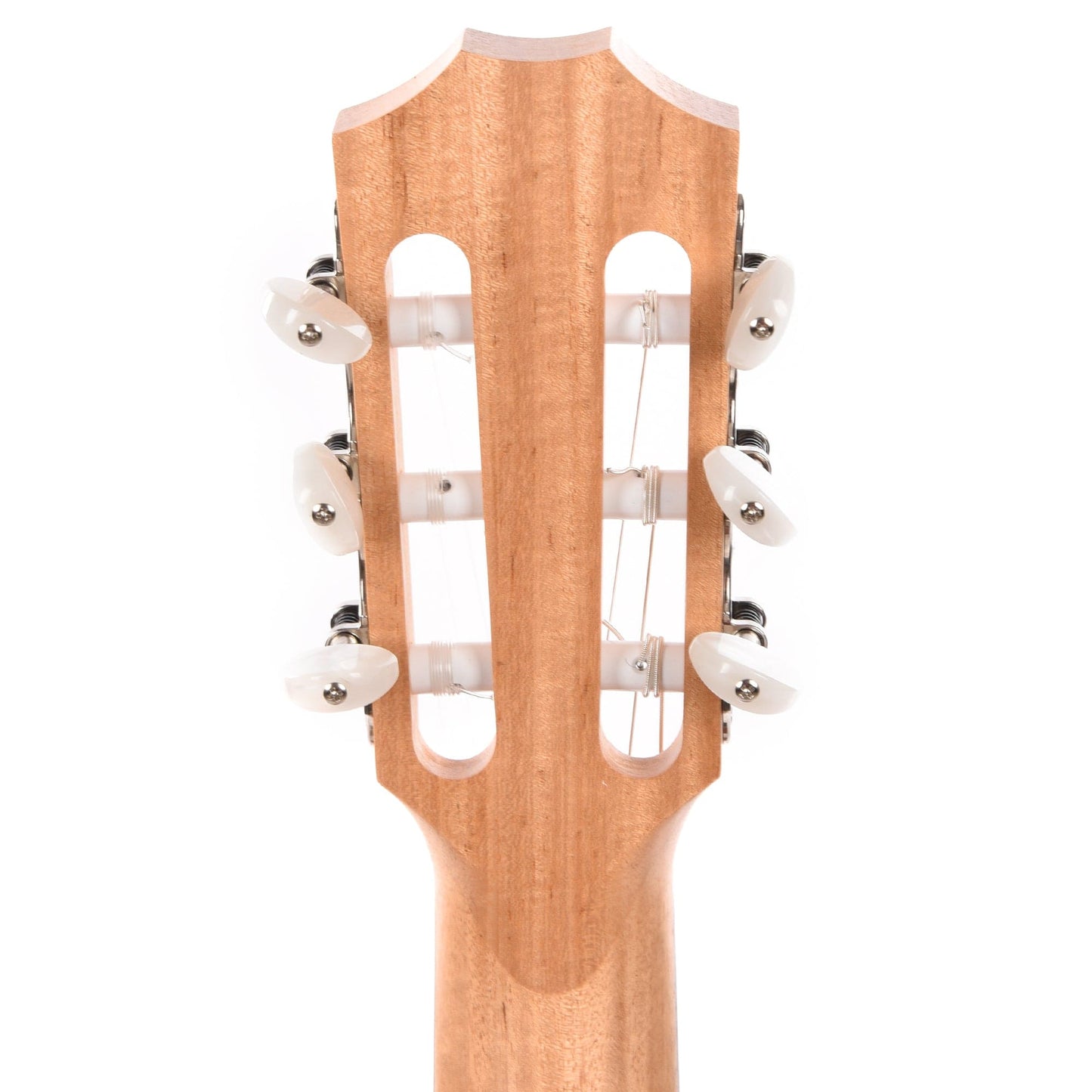 Taylor Academy 12e-N Grand Concert Lutz Spruce/Sapele Natural w/ES-B Acoustic Guitars / Classical