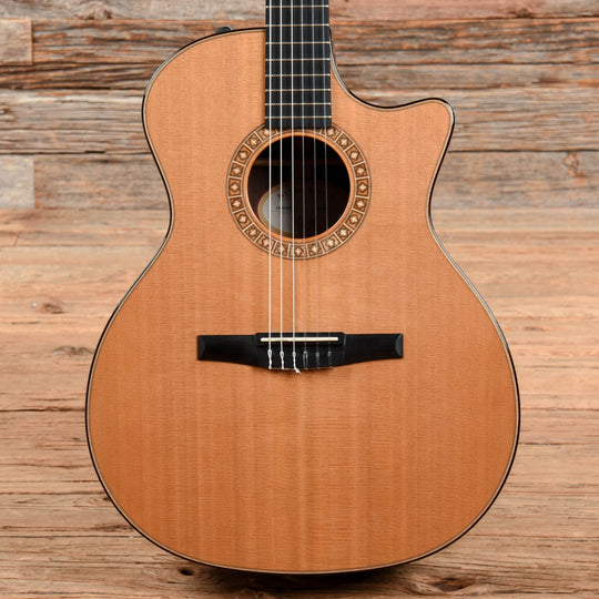 Taylor NS74ce Natural 2010 Acoustic Guitars / Classical