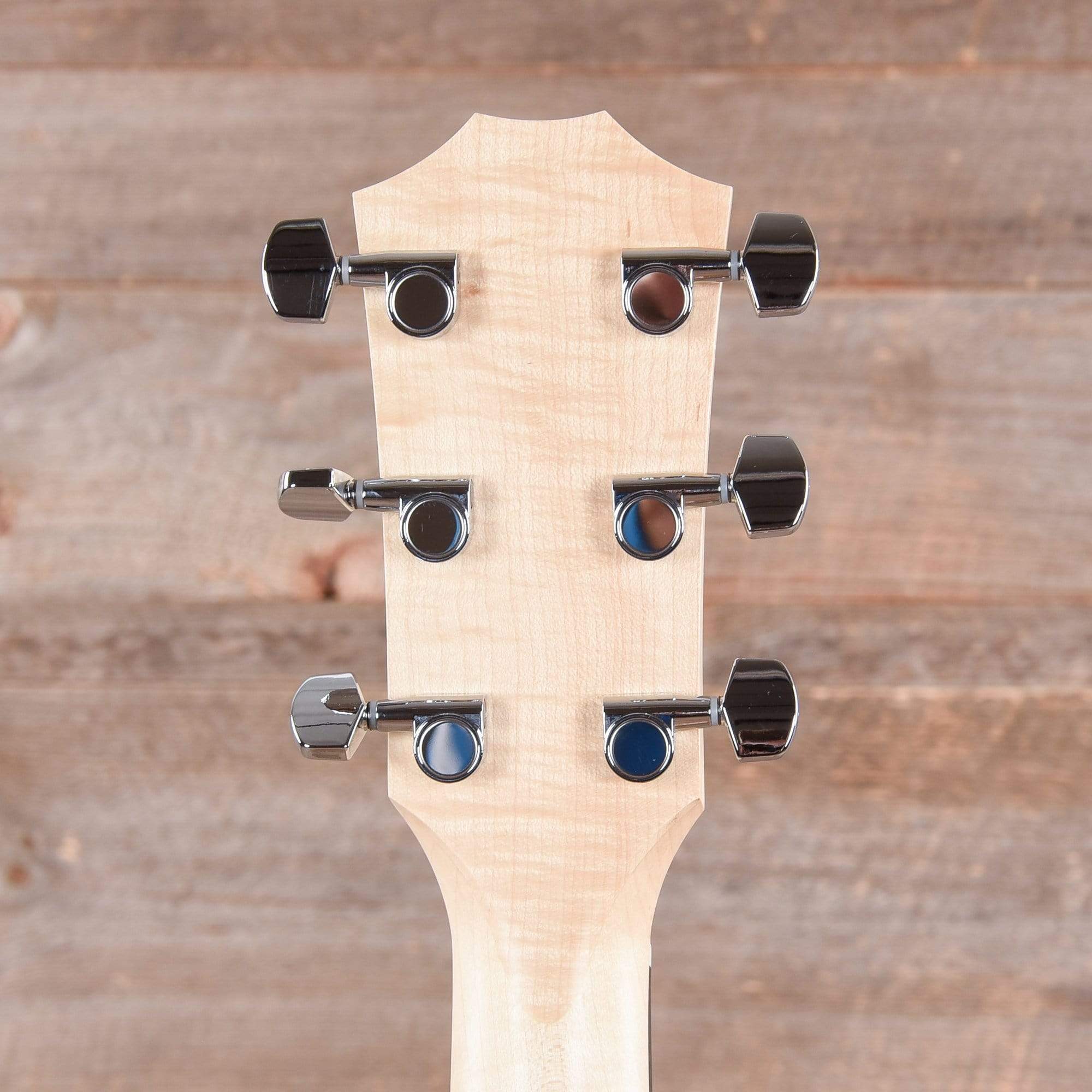 Taylor Academy 12 Grand Concert Sitka/Sapele Maple Neck Acoustic Guitars / Concert