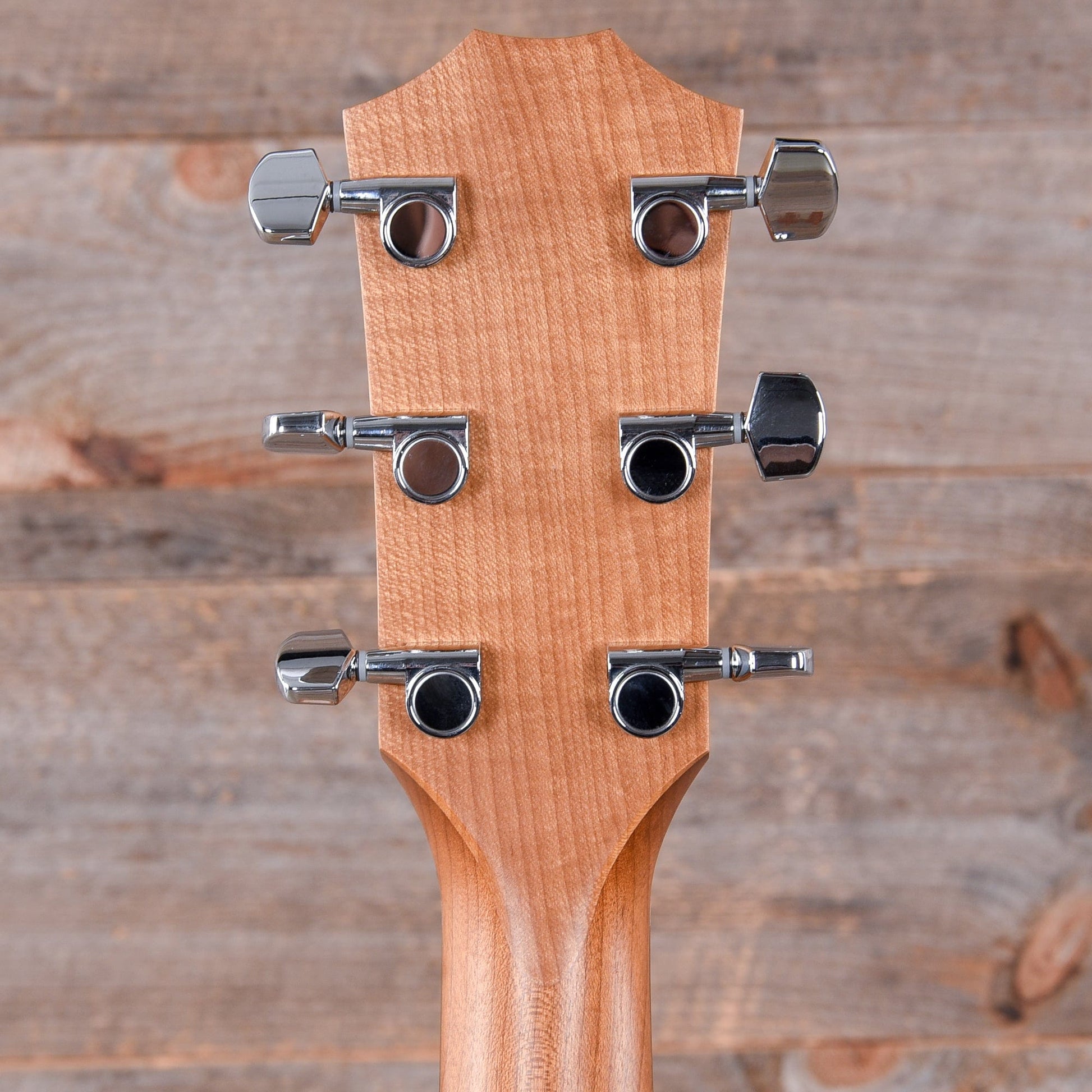 Taylor Academy 12e Grand Concert Sitka Spruce/Sapele Maple Neck Acoustic Guitars / Concert