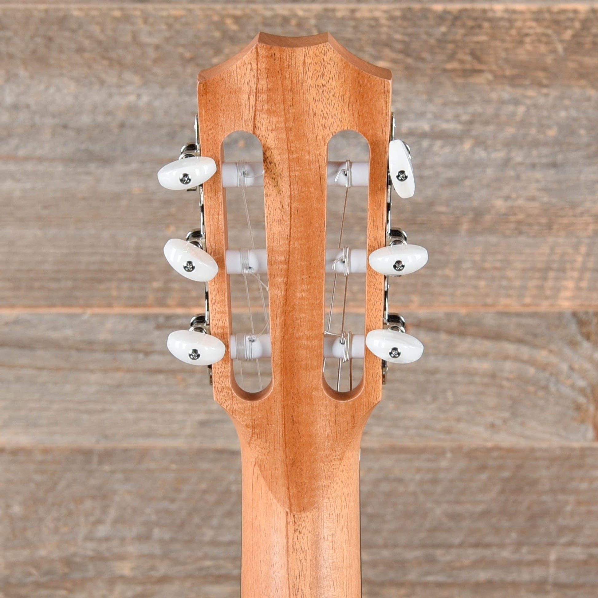 Taylor Academy 12e-N Grand Concert Lutz Spruce/Sapele Natural w/ES-B Acoustic Guitars / Concert