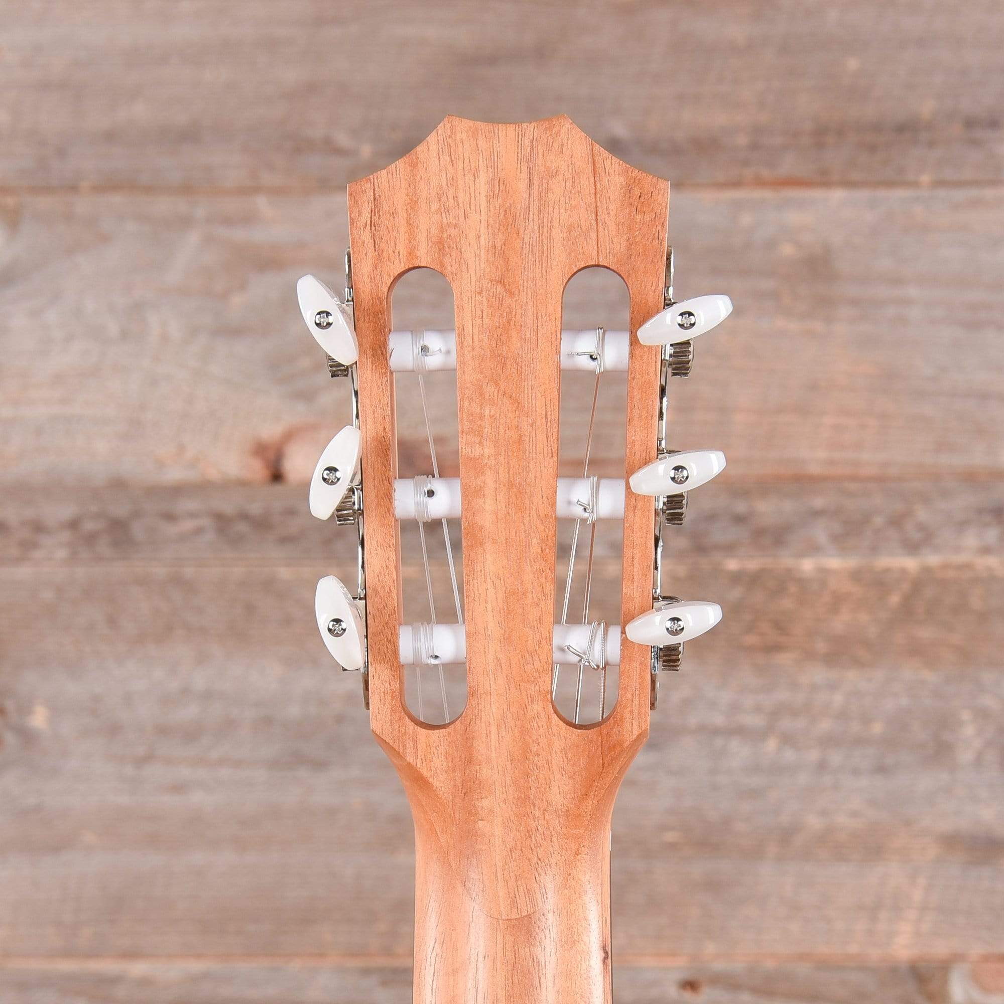 Taylor Academy 12e-N Lutz Spruce/Layered Sapele Grand Concert Nylon String w/ES-B Acoustic Guitars / Concert