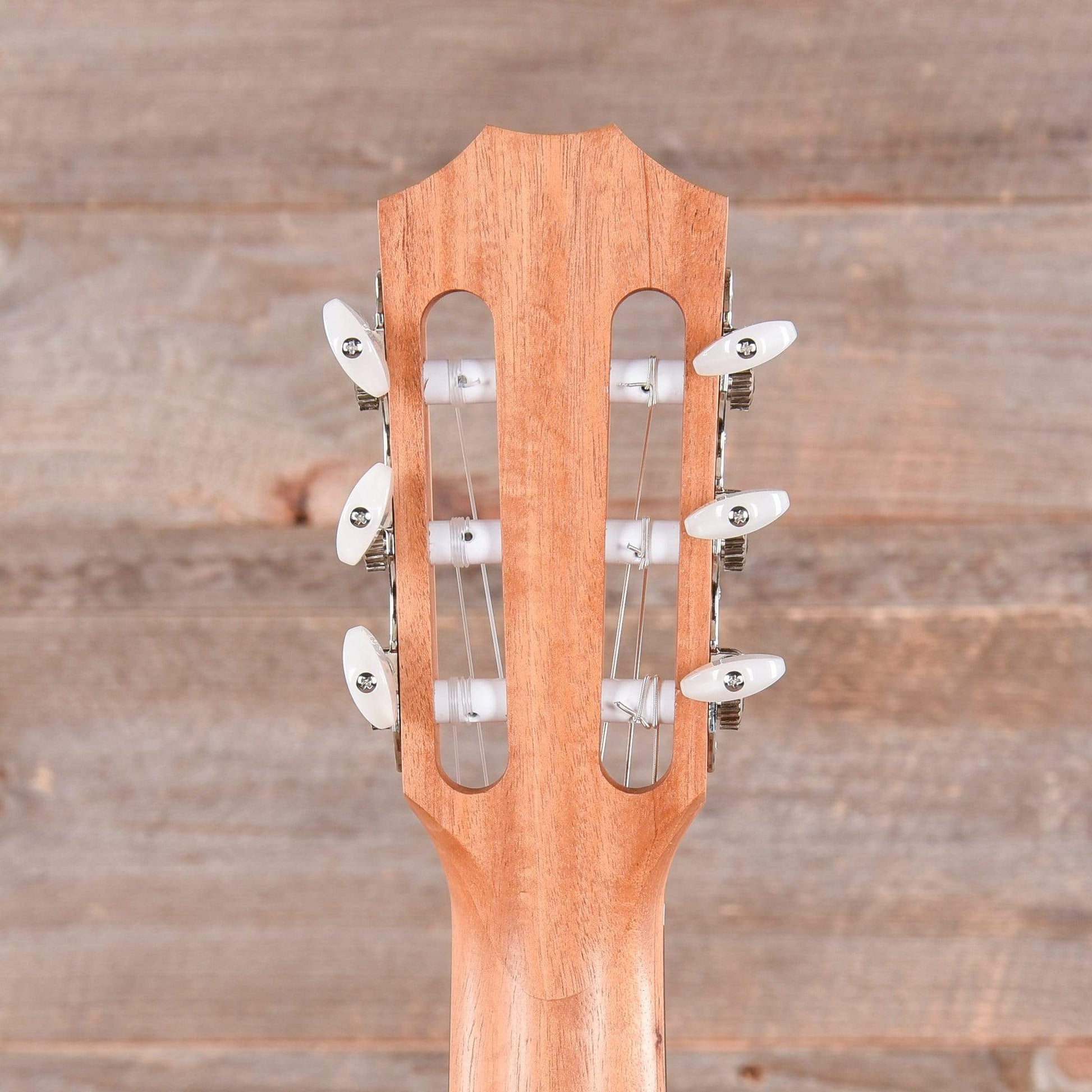 Taylor Academy 12e-N Lutz Spruce/Layered Sapele Grand Concert Nylon String w/ES-B Acoustic Guitars / Concert