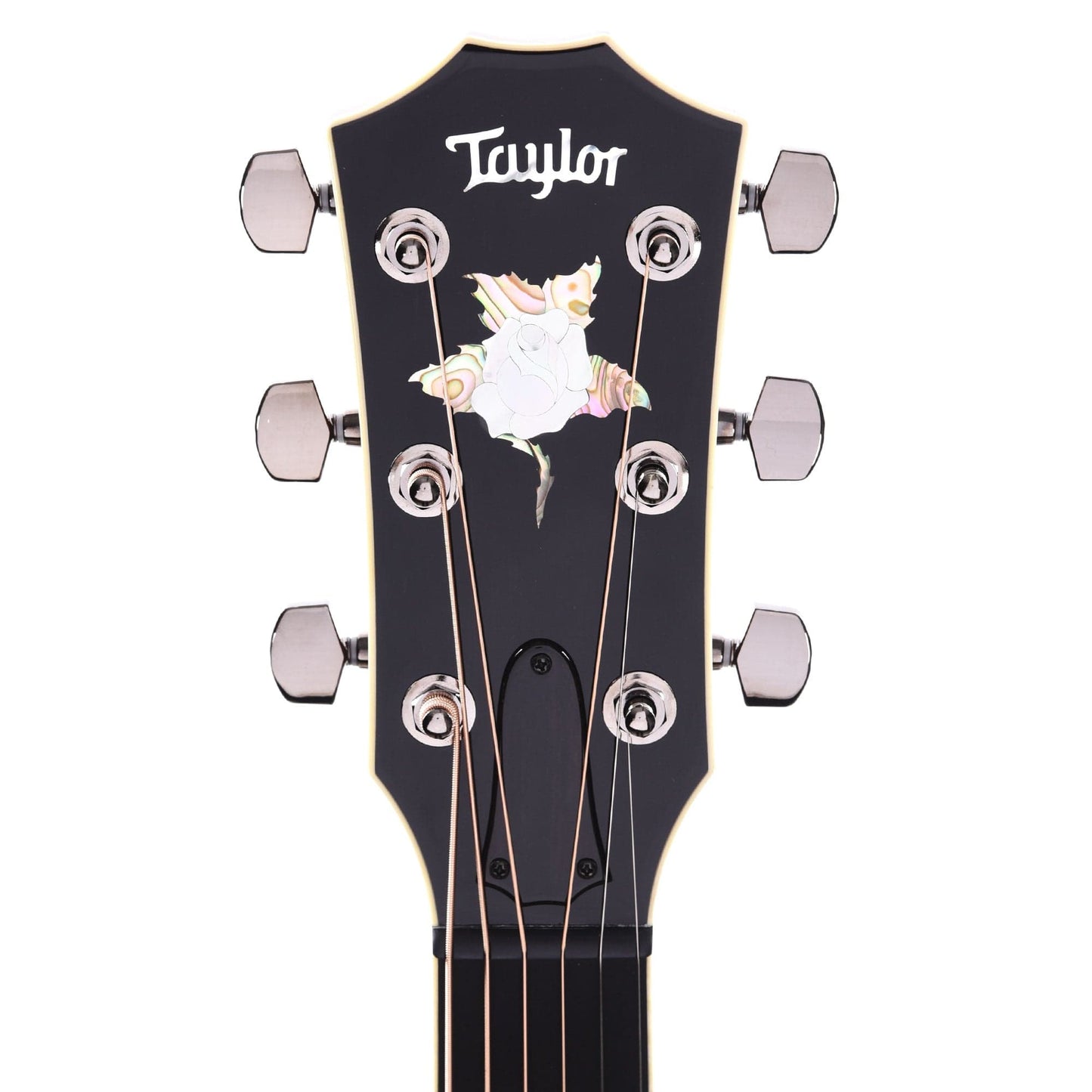 Taylor Custom Grand Concert Cocobolo & Engelmann Spruce Black Top w/Figured Mahogany Neck & Rose Pegehad Inlay Acoustic Guitars / Concert
