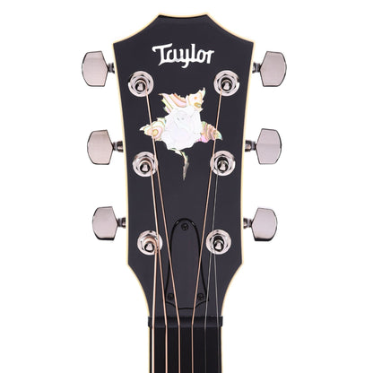 Taylor Custom Grand Concert Cocobolo & Engelmann Spruce Black Top w/Figured Mahogany Neck & Rose Pegehad Inlay Acoustic Guitars / Concert