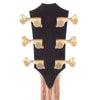 Taylor PS12ce Grand Concert Sinker/Figured Blackwood ES2 w/V-Class Bracing & Radius Armrest Acoustic Guitars / Concert