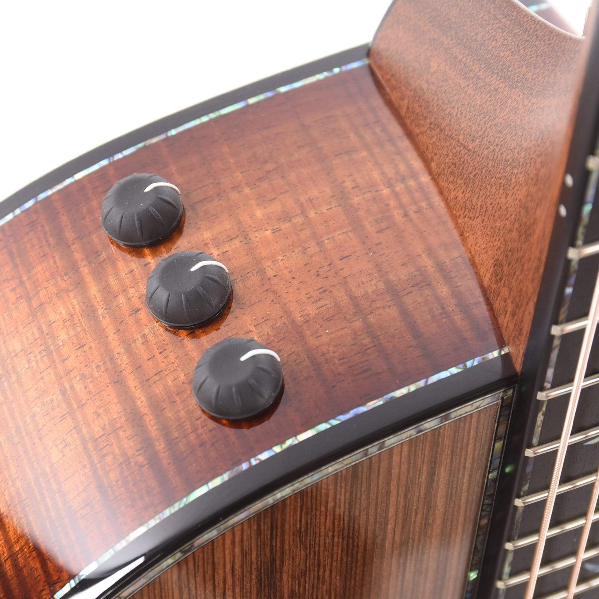 Taylor PS12ce Grand Concert Sinker/Figured Blackwood ES2 w/V-Class Bracing & Radius Armrest Acoustic Guitars / Concert