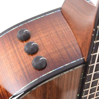 Taylor PS12ce Grand Concert Sinker/Figured Blackwood ES2 w/V-Class Bracing & Radius Armrest Acoustic Guitars / Concert