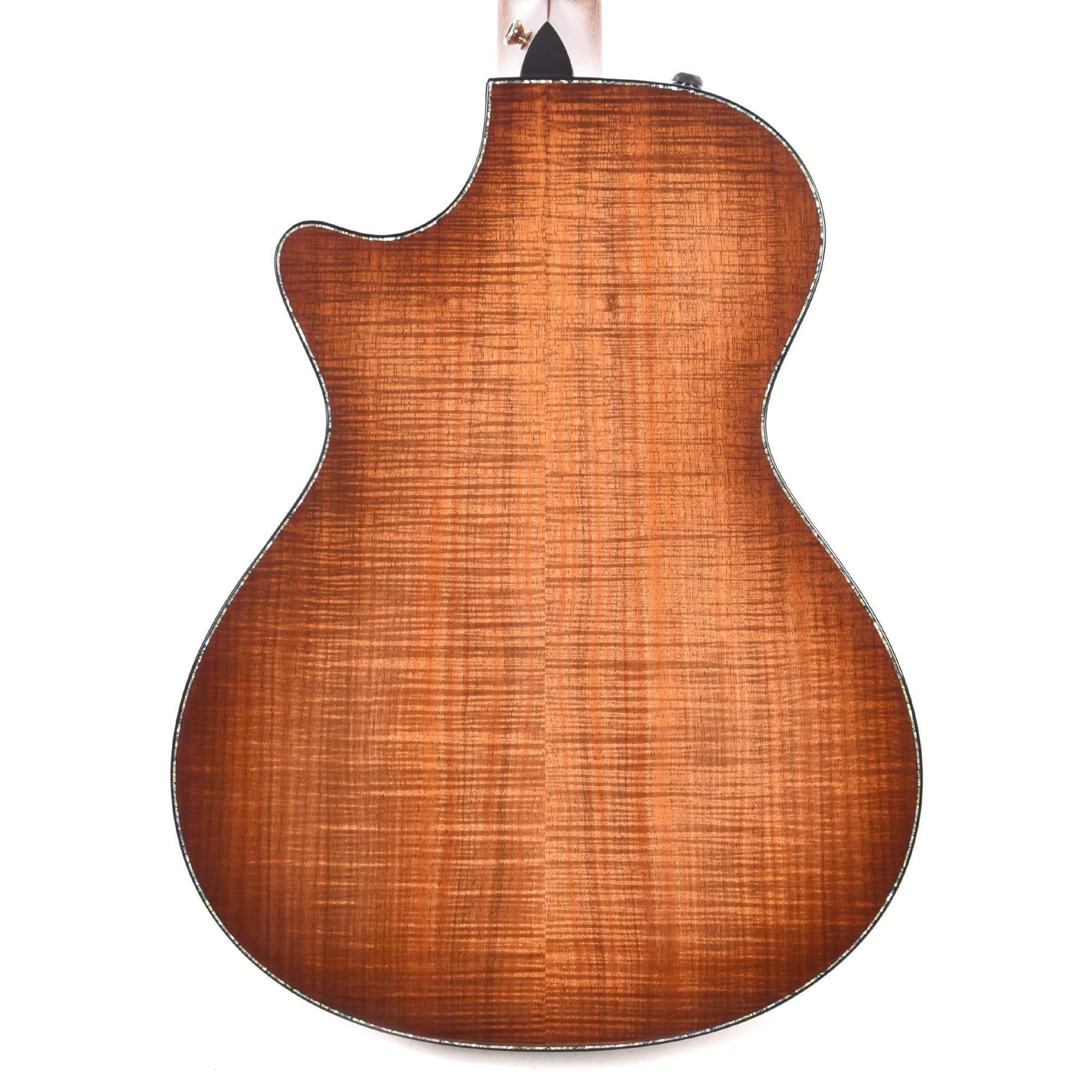 Taylor PS12ce Grand Concert Sinker/Figured Blackwood ES2 w/V-Class Bracing & Radius Armrest Acoustic Guitars / Concert