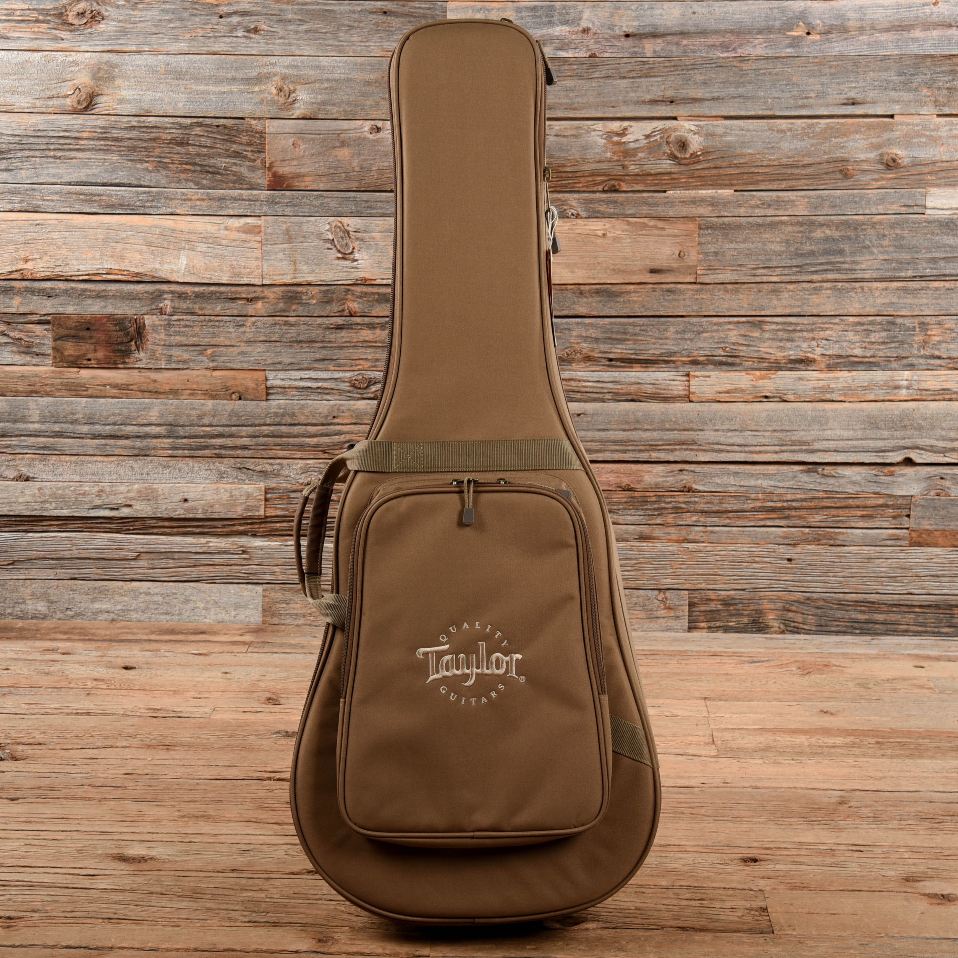 Taylor 110e Natural 2020 Acoustic Guitars / Dreadnought