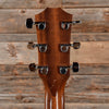Taylor 210ce-DLX Natural 2015 Acoustic Guitars / Dreadnought