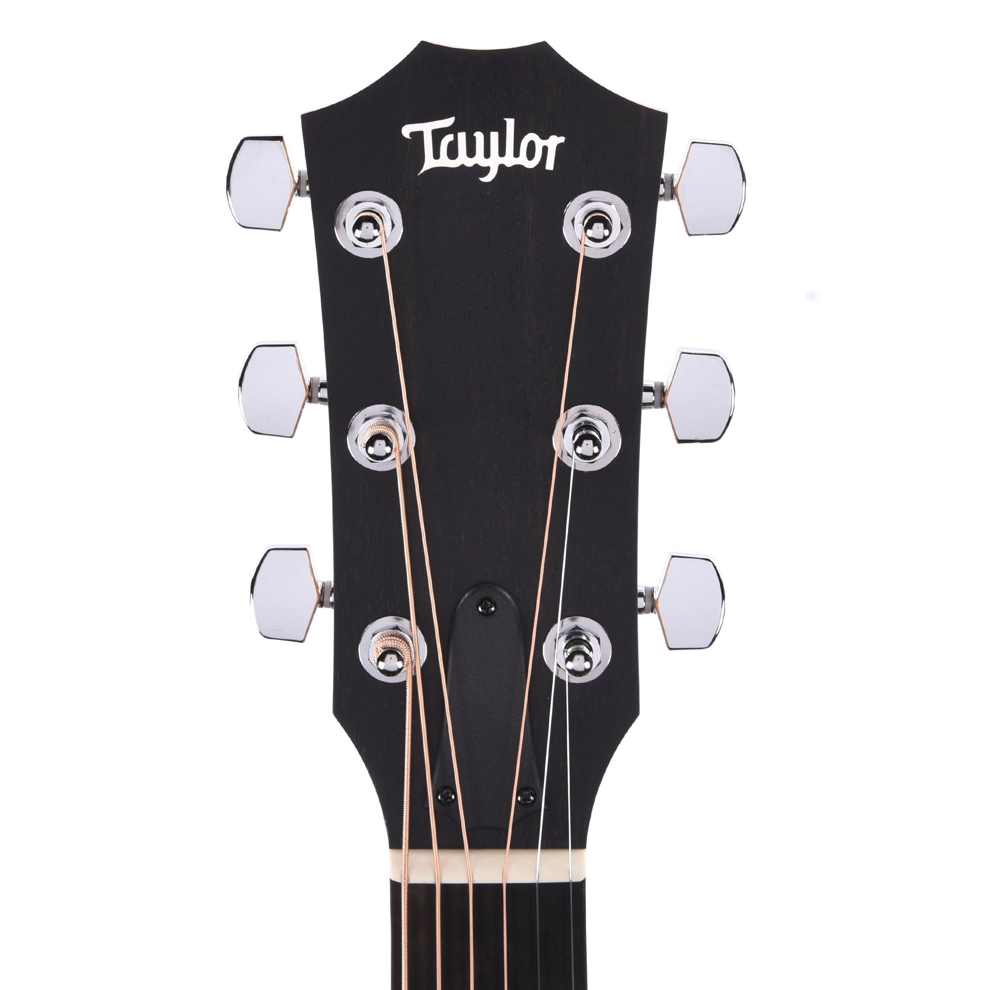 Taylor 210ce Dreadnought Torrified Spruce/Rosewood Natural ES2 Acoustic Guitars / Dreadnought