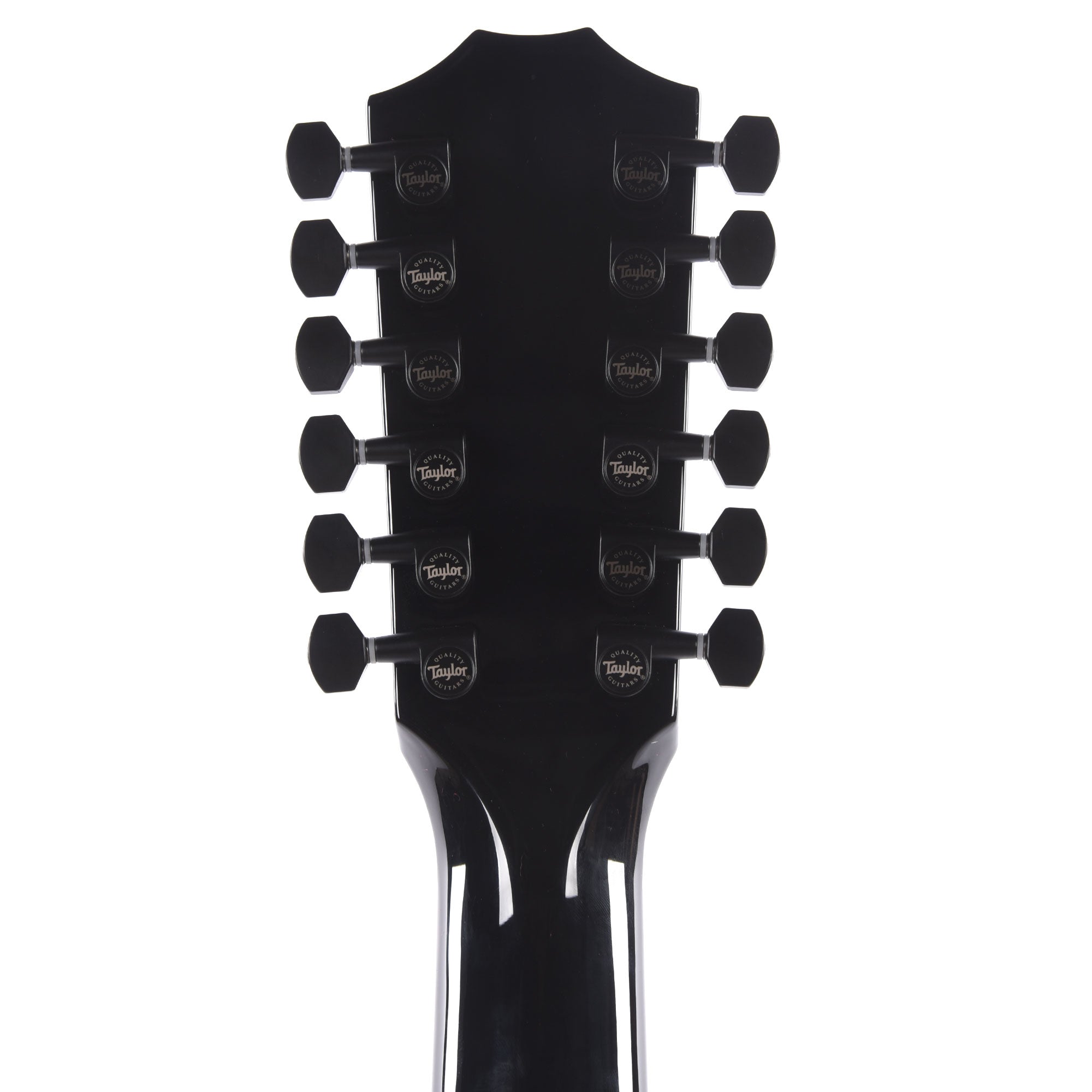 Taylor 250ce-BLK Plus 12-String Dreadnought Spruce/Big Leaf Maple Black Acoustic Guitars / Dreadnought