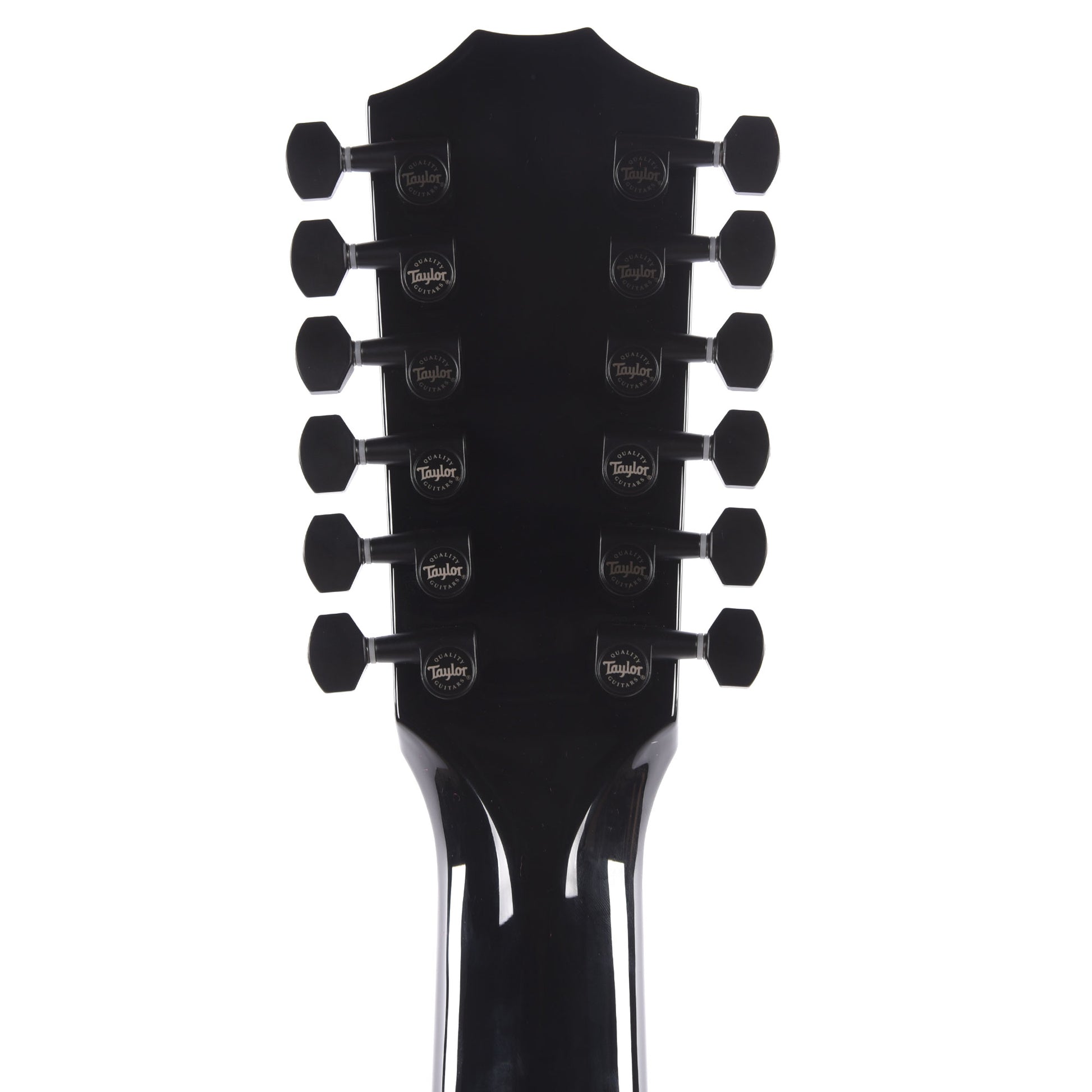 Taylor 250ce-BLK Plus 12-String Dreadnought Spruce/Big Leaf Maple Black Acoustic Guitars / Dreadnought