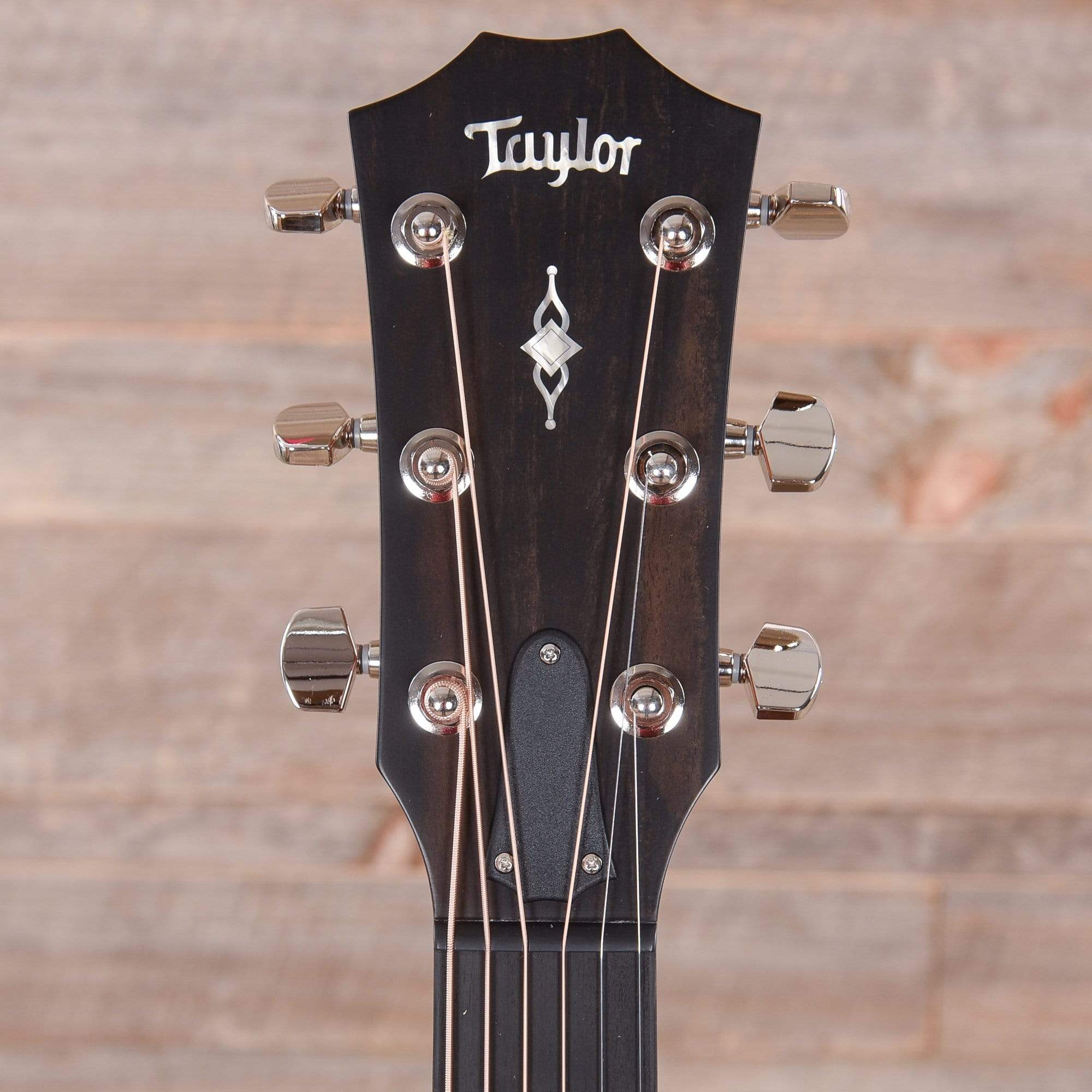 Taylor 317e Sitka/Sapele Grand Pacific ES2 Acoustic Guitars / Dreadnought