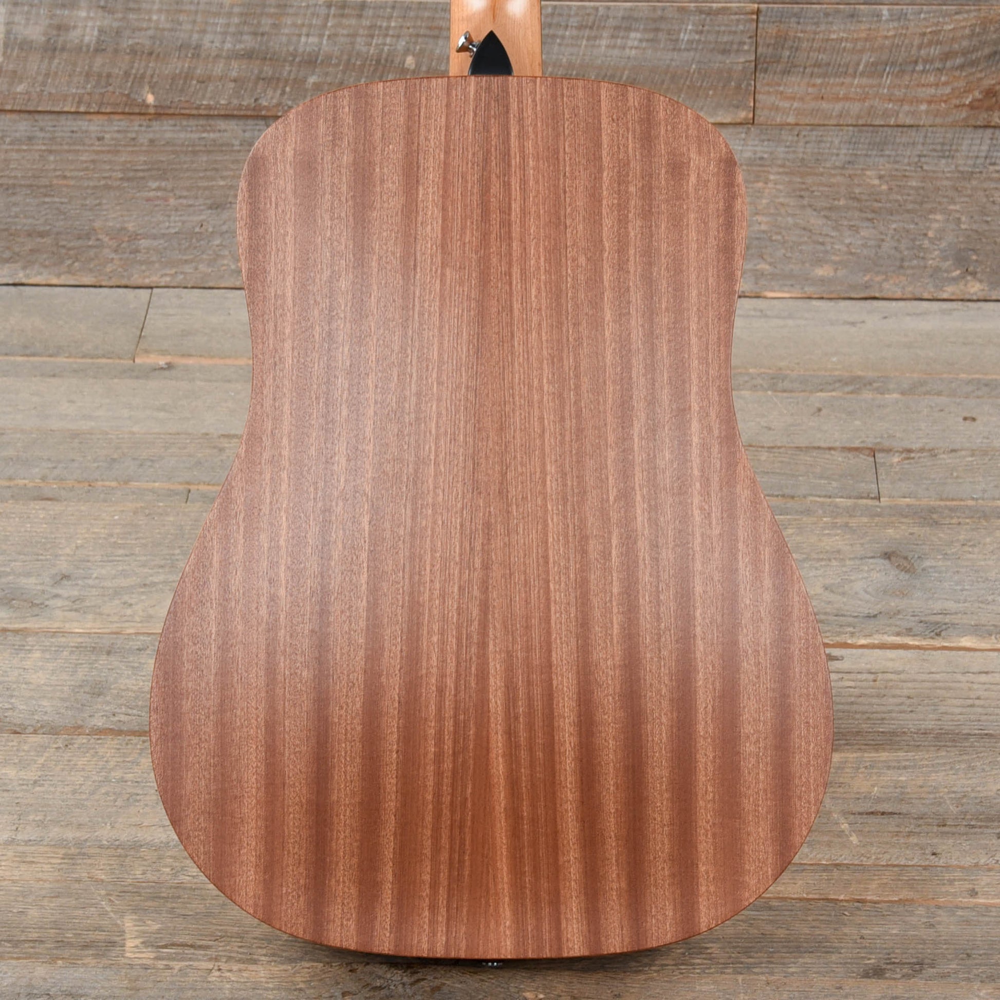 Taylor Academy 10 Dreadnought Sitka/Sapele Maple Neck Acoustic Guitars / Dreadnought