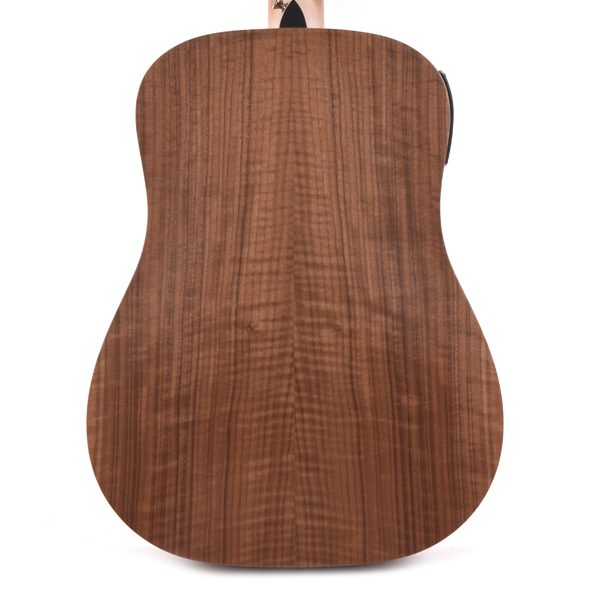Taylor Academy 20e Walnut Top Acoustic Guitars / Dreadnought