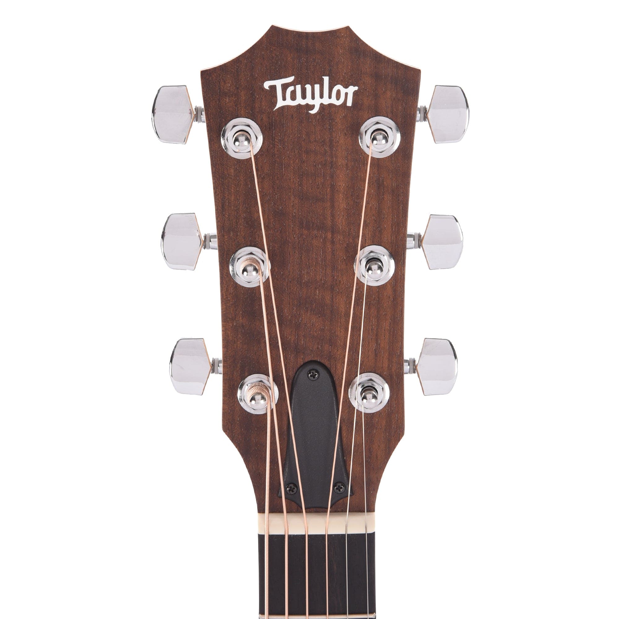 Taylor Academy 20e Walnut Top Acoustic Guitars / Dreadnought