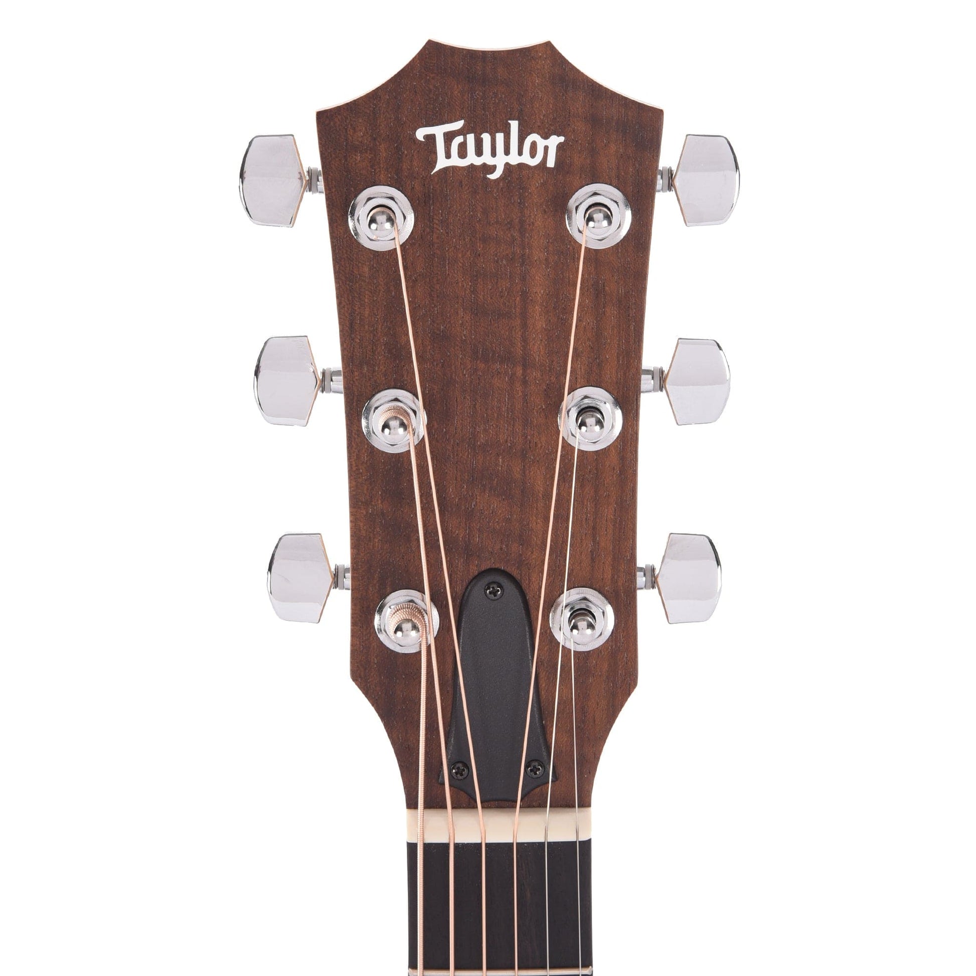 Taylor Academy 20e Walnut Top Acoustic Guitars / Dreadnought