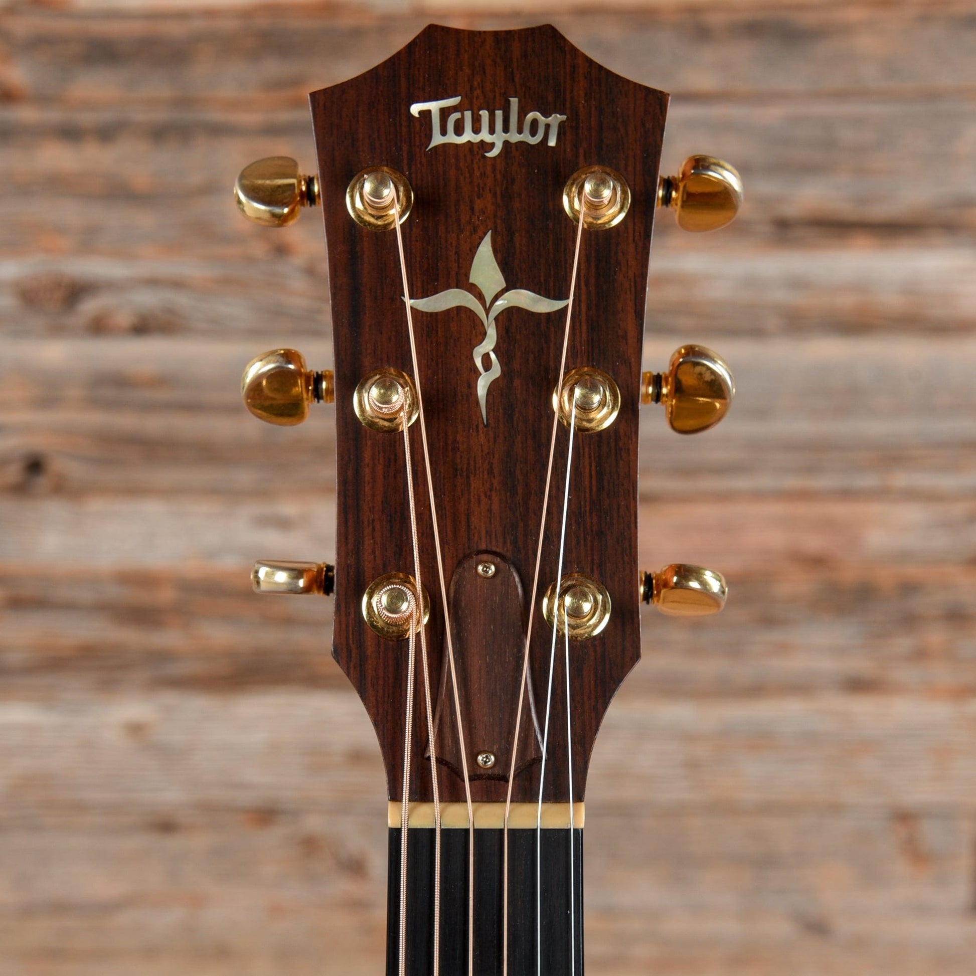 Taylor Limited Edition 710-BRZ Brazilian Rosewood Back & Sides Natural 1996 Acoustic Guitars / Dreadnought
