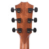 Taylor 326ce Grand Symphony Mahogany Shaded Edgeburst ES2 Acoustic Guitars / Jumbo