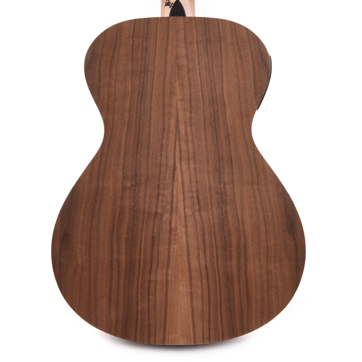 Taylor Academy 22e Walnut Top Acoustic Guitars / Mini/Travel