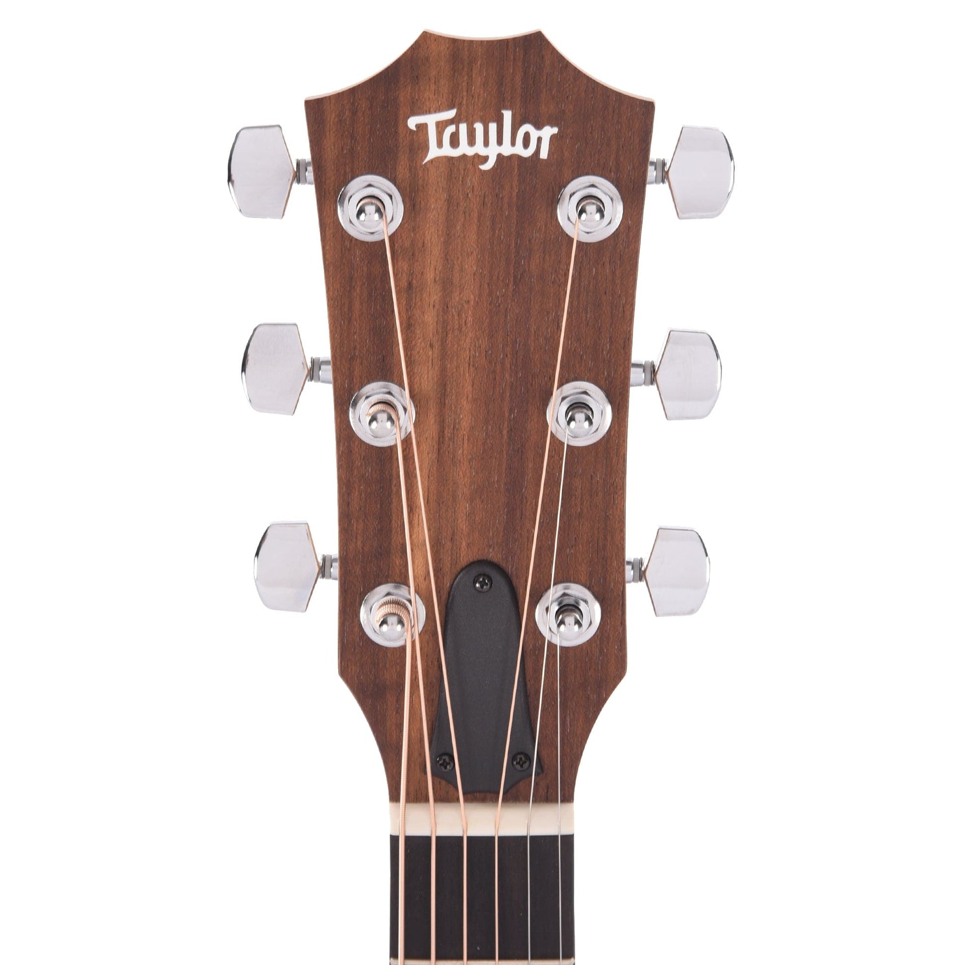 Taylor Academy 22e Walnut Top Acoustic Guitars / Mini/Travel
