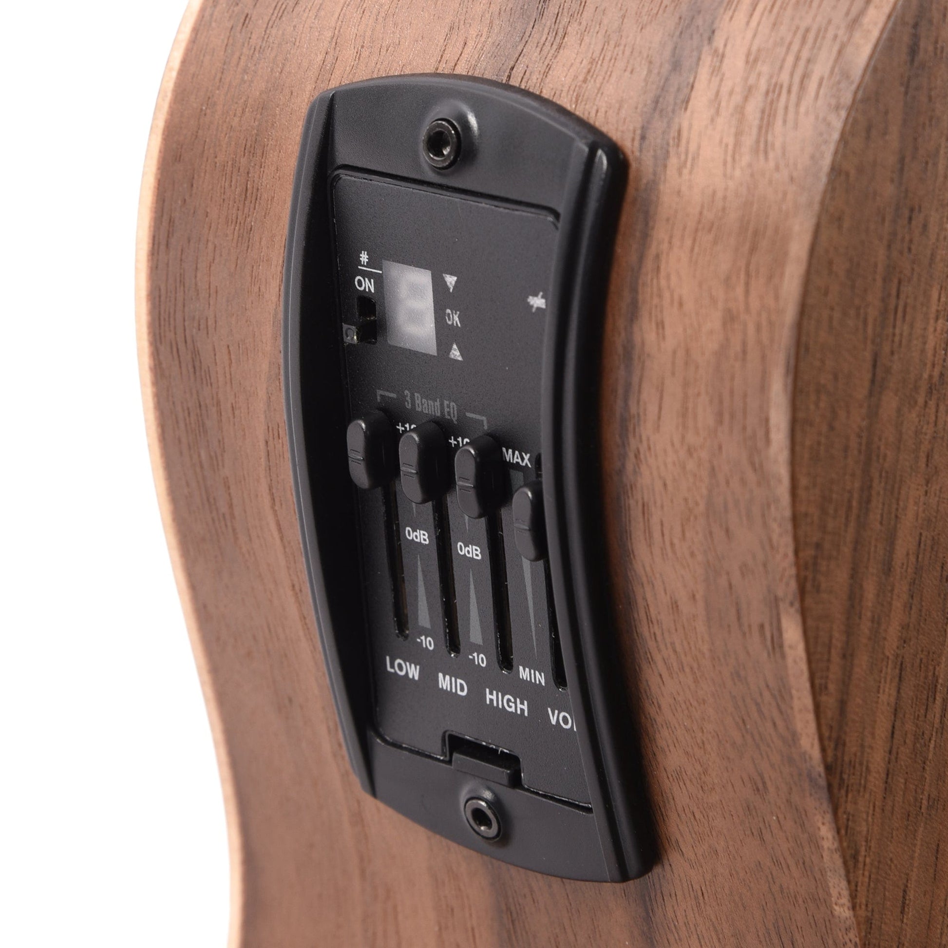 Taylor Academy 22e Walnut Top Acoustic Guitars / Mini/Travel