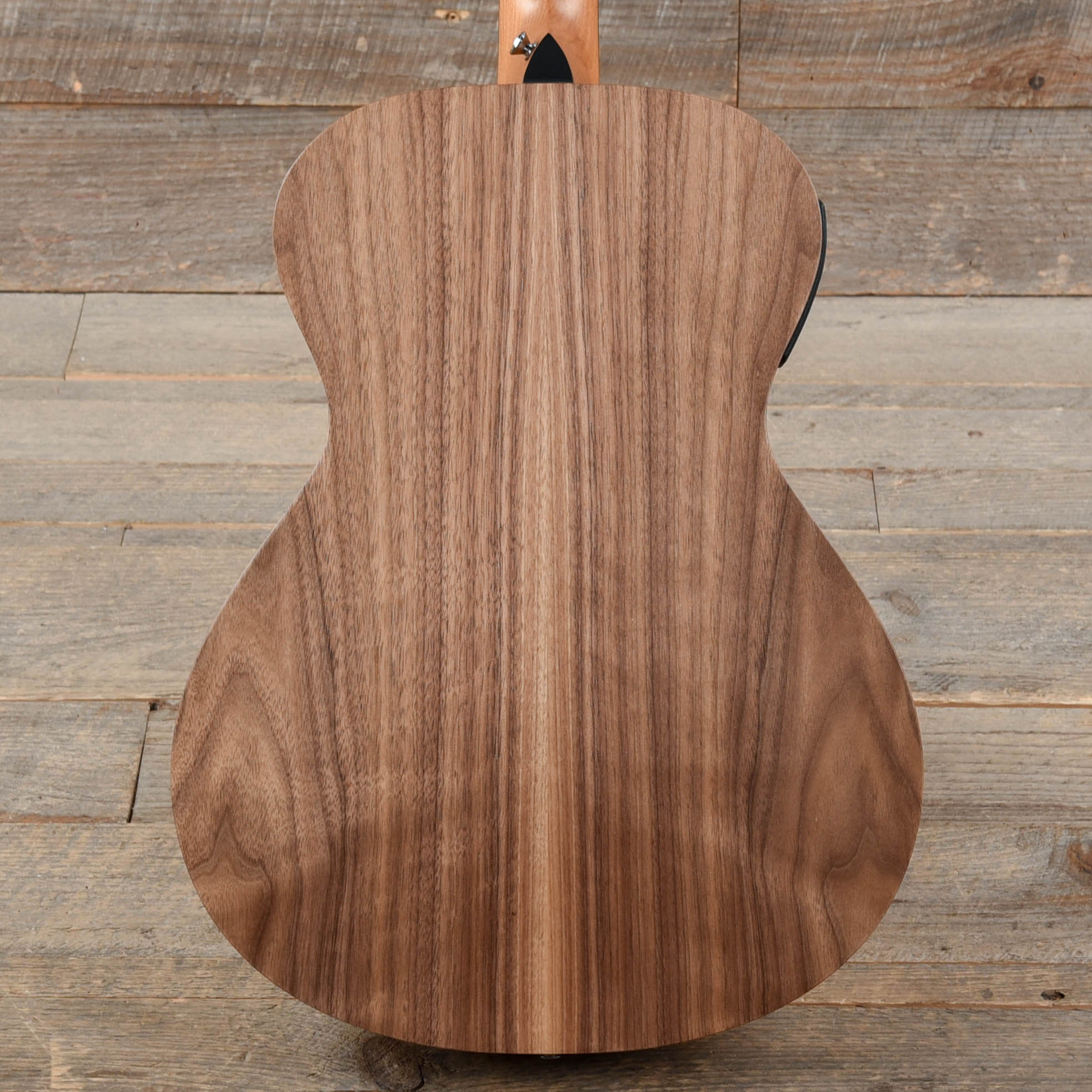 Taylor Academy 22e Walnut Top Acoustic Guitars / Mini/Travel