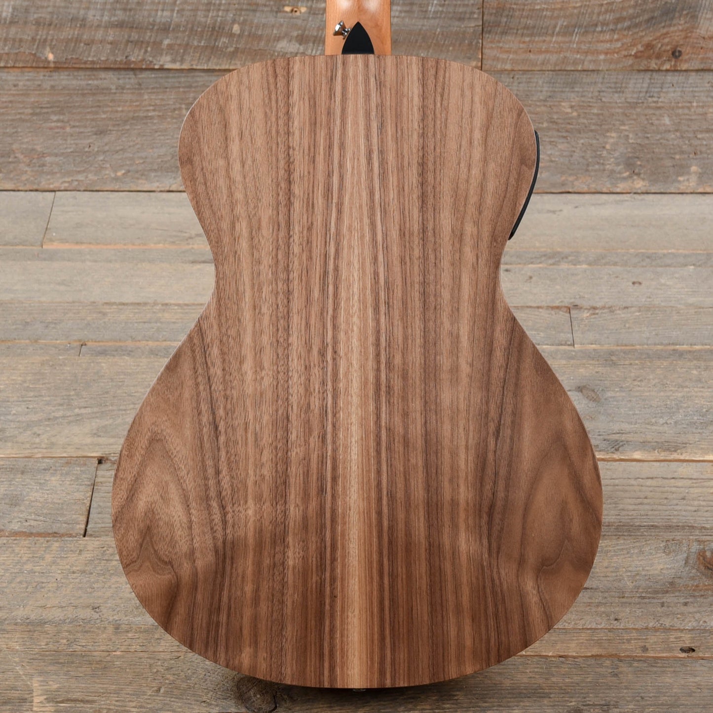 Taylor Academy 22e Walnut Top Acoustic Guitars / Mini/Travel