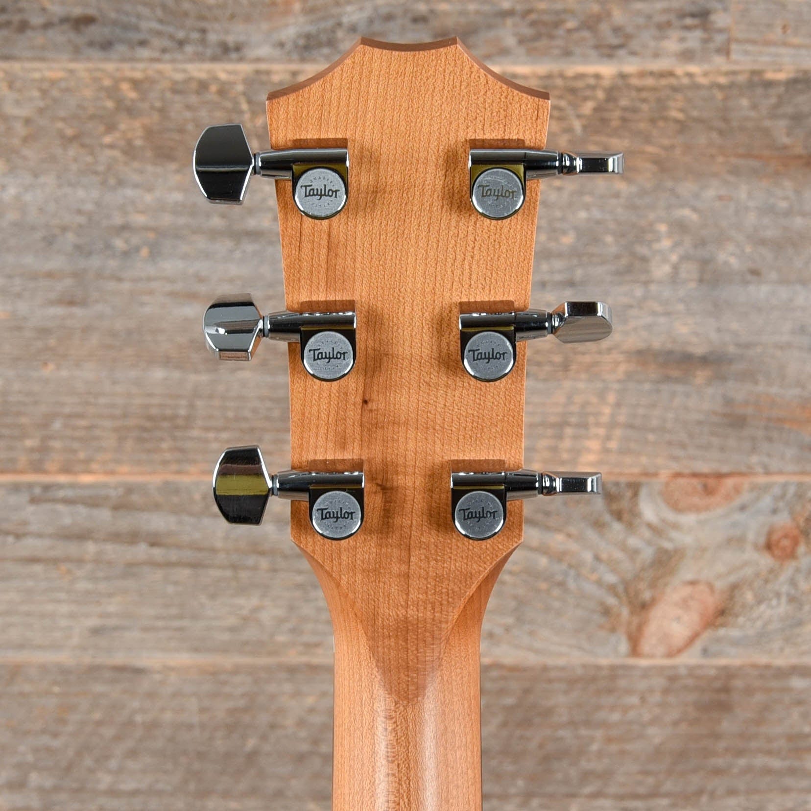 Taylor Academy 22e Walnut Top Acoustic Guitars / Mini/Travel