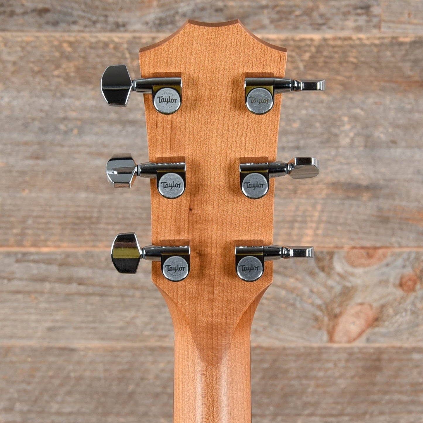 Taylor Academy 22e Walnut Top Acoustic Guitars / Mini/Travel