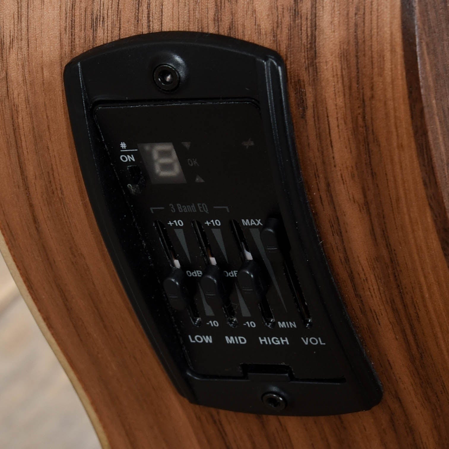 Taylor Academy 22e Walnut Top Acoustic Guitars / Mini/Travel